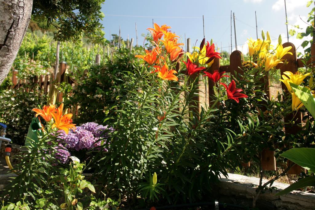 Bed and Breakfast Ca De Pria Casarza Ligure Exterior foto